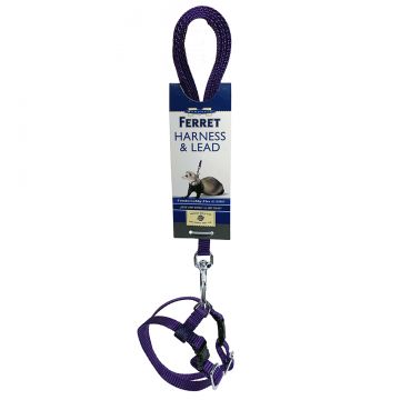 Harness and Lead Set - Purple
